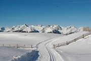 Langlauf3_RJ (14)